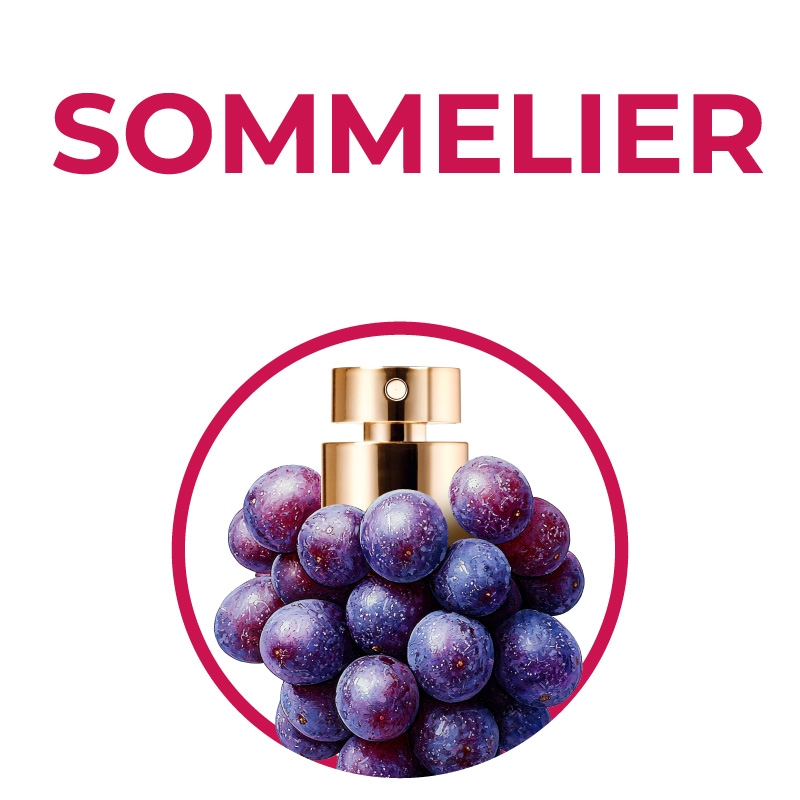 Nuovo Il Corso di Qualificazione Professionale per Sommelier - SOMMELIER