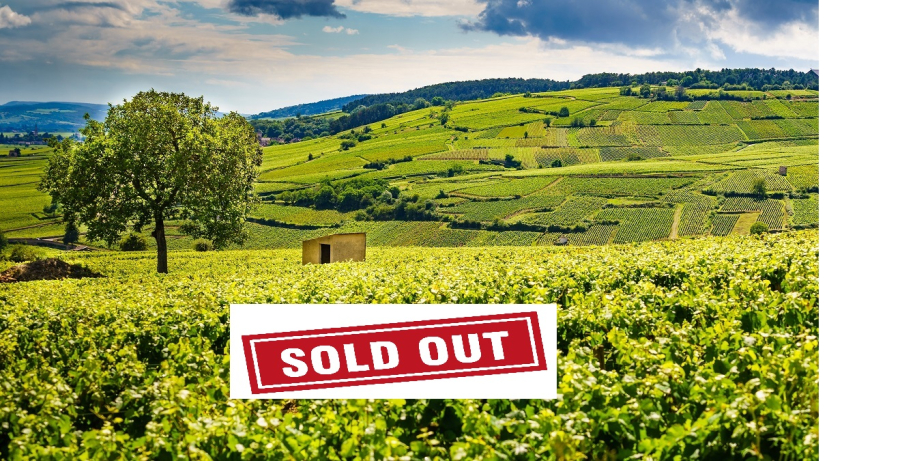 Bibenda Viaggi: Borgogna