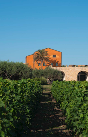 Feudo Maccari: le tre versioni del Nero d'Avola