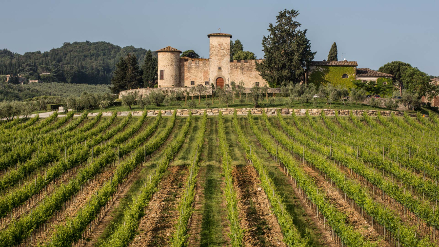 Castello di Gabbiano: il Chianti Classico