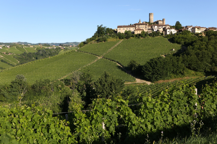 Arnaldo Rivera: I Grandi Cru del Barolo 2021