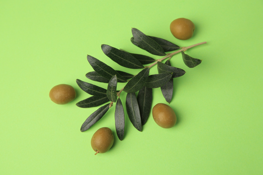 Scovaventi: l'eccellenza dell'Olio Extravergine di Oliva
