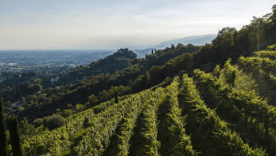 Asolo Prosecco Superiore: 14 espressioni, un territorio
