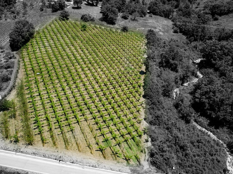 Vigna Taurasi Riserva Vigna Taurasi Riserva