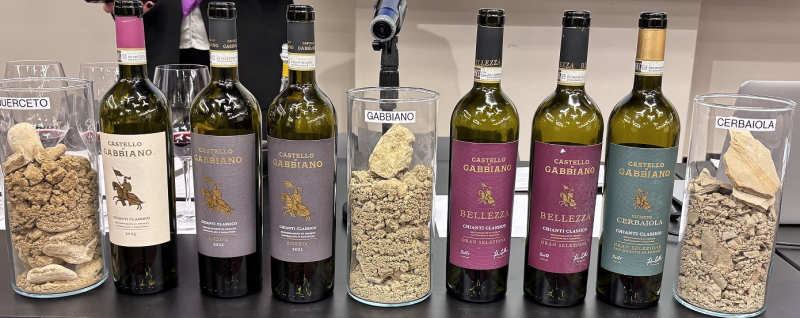 I vini in degustazione