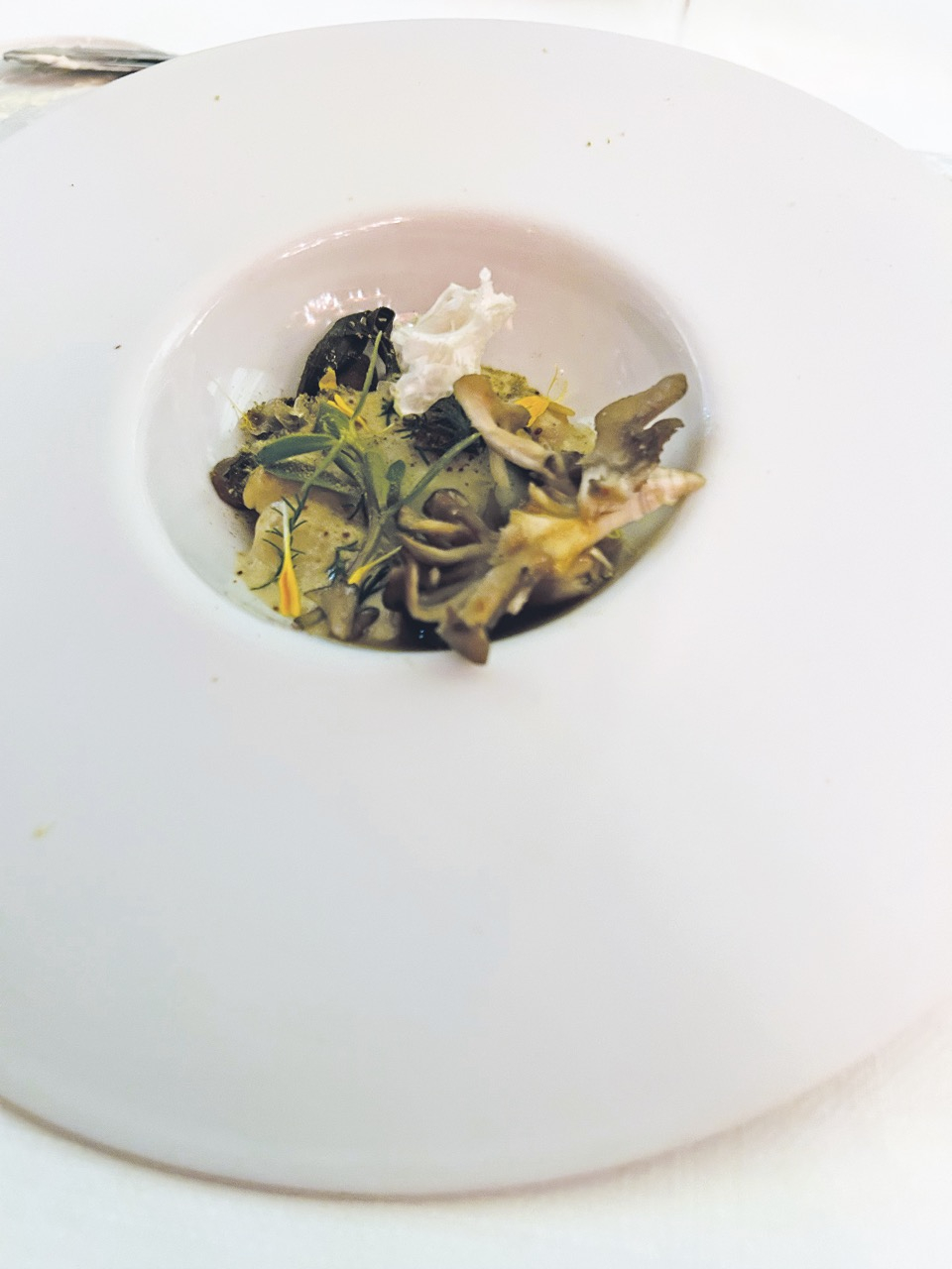 Fungo, legumi e piantaggine Fungo, legumi e piantaggine