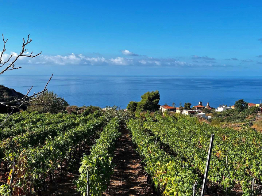 Un’estate a Salina e una vendemmia Eolia…na