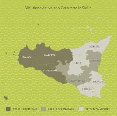 Le aree vitivinicole del Catarratto in Sicilia