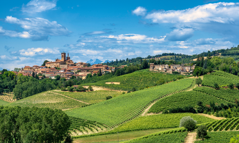Panoramica dei vigneti di Barolo