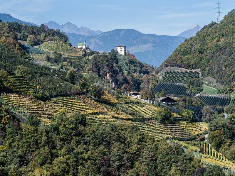 Tra Nalles, la Val d’Adige e Magrè