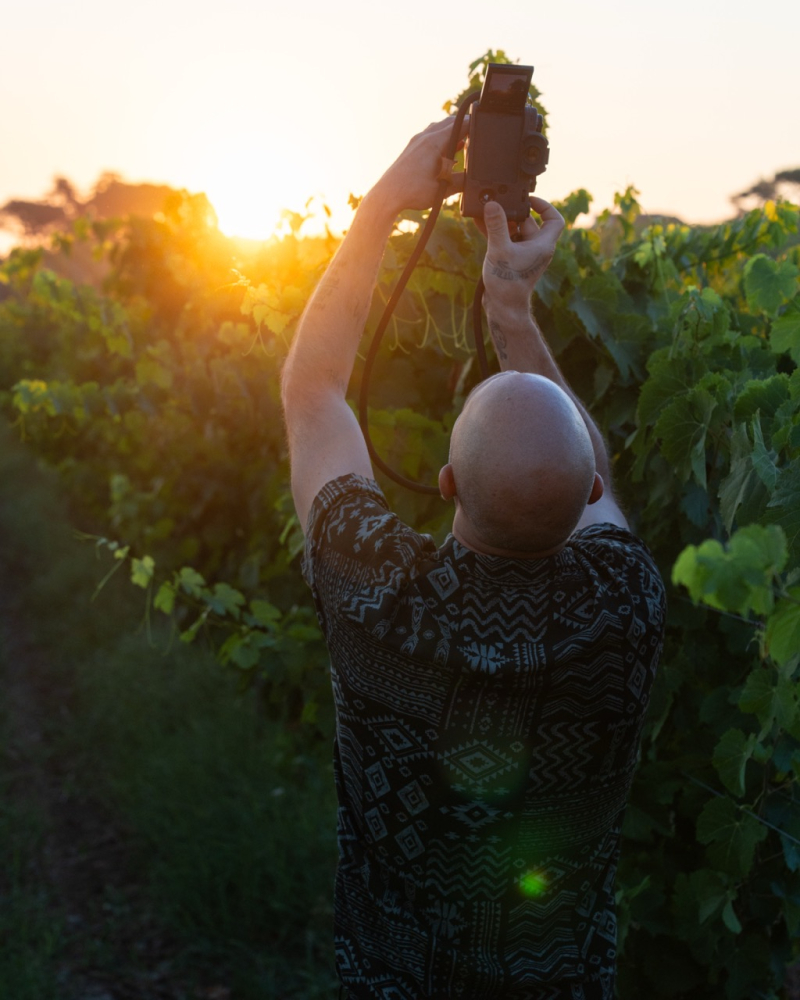 Il vino è il nostro tempo - Coltiviamo ciò che unisce