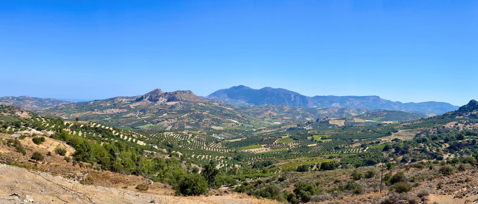 Vigneti e oliveti di Creta - Vista panoramica
