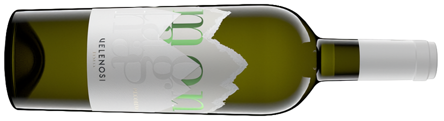 Falerio Pecorino Montagna 2025